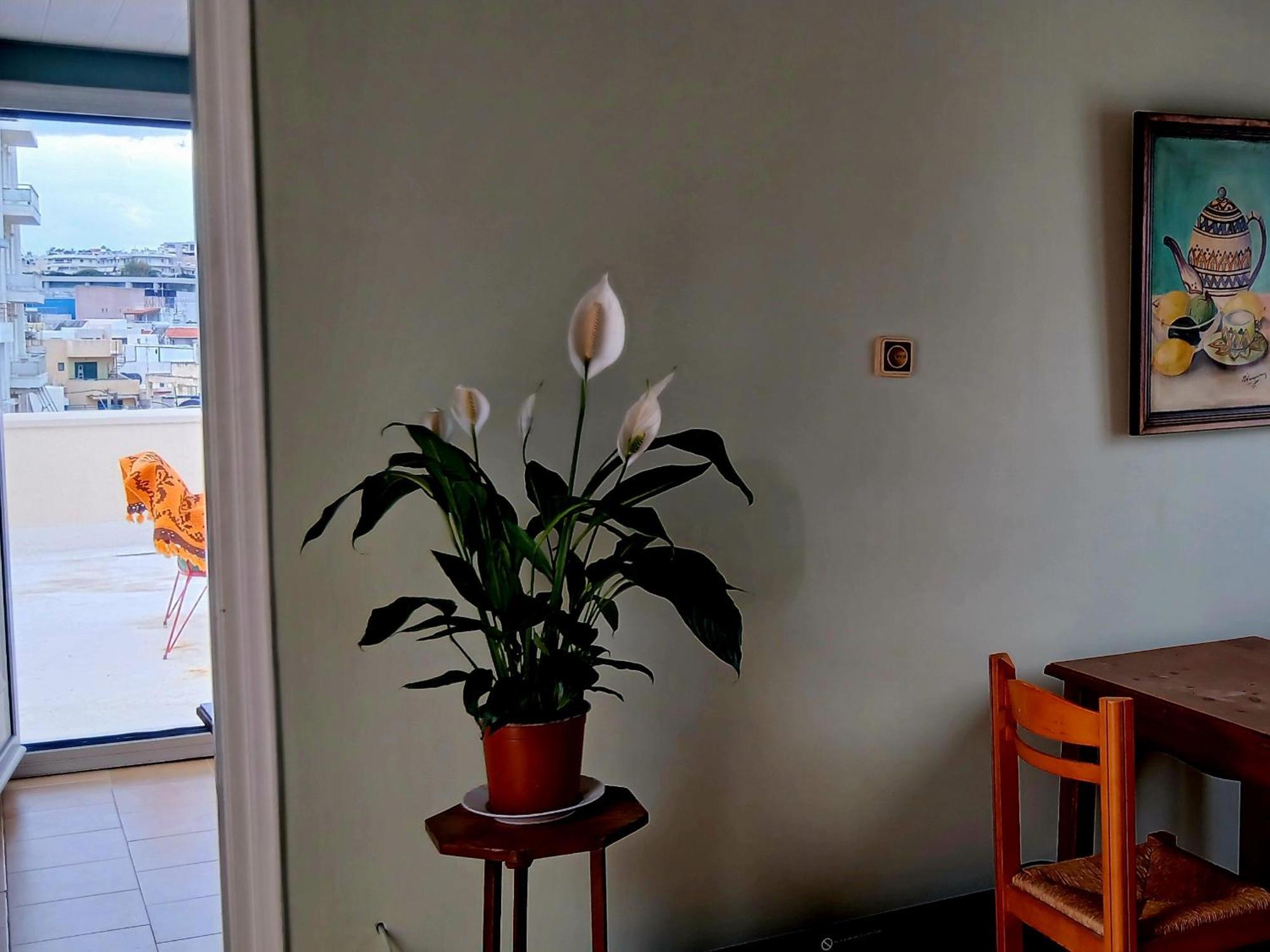 Doukas Rooms Herakleio Crete Kandiye Dış mekan fotoğraf